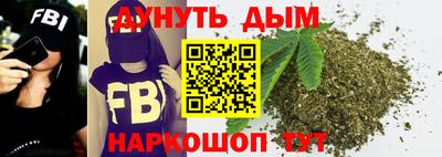 сатива Славгород