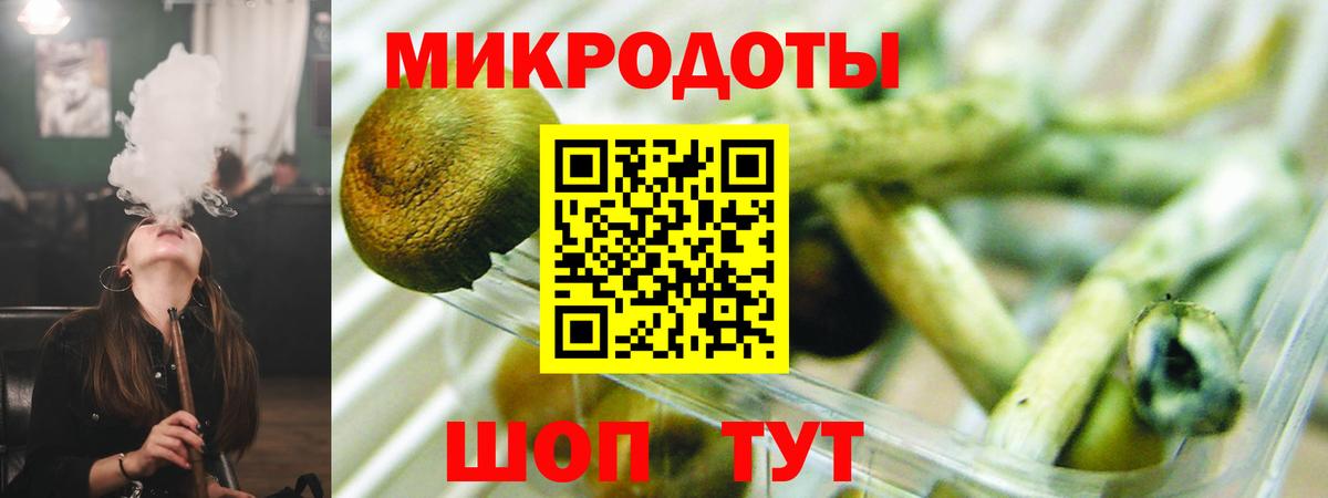 Псилоцибиновые грибы мицелий Отрадное